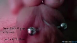 Self Piercing Prince Albert