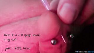 Self Piercing Prince Albert