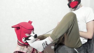 Puppy fellow eats soles on top and inhales ginormous pink cigar