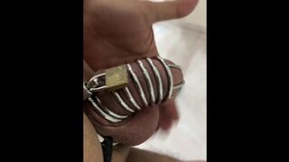 Cock Purity Cell #001 My Playthings