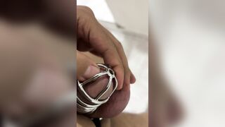 Cock Purity Cell #001 My Playthings