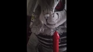 Roadkill! Visits you for Valentines day