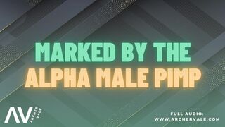 Selling your assets to elder dudes [Queer Audiobook]