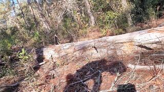 nearly got caught on nature trail