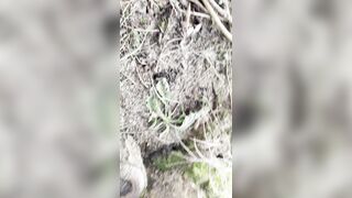 Jacking off in woods