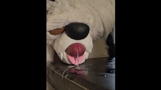 Wruff! Velox by Insatiable Fox Fucktoys bashes ALL the right catches sight of for @AngryBarks Humungous Jizz shot!