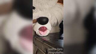 Wruff! Velox by Insatiable Fox Fucktoys bashes ALL the right catches sight of for @AngryBarks Humungous Jizz shot!