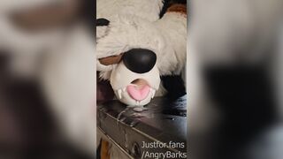 Wruff! Velox by Insatiable Fox Fucktoys bashes ALL the right catches sight of for @AngryBarks Humungous Jizz shot!