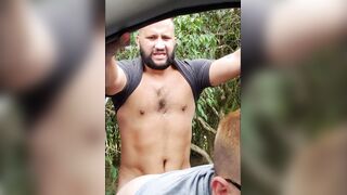 Plumbed in the forest