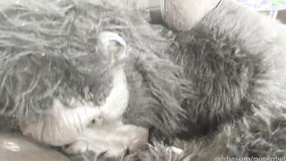 Do You Want a Banana?