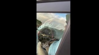 Chav men caught camper dogging in local park