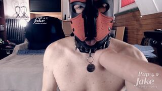 Pup Jake demonstrates his Sir on Chaturbate just how much he likes to deepthroat sausage