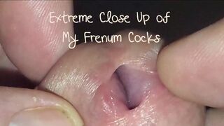 Luxurious Frenum Pecker Extraordinary Close Up