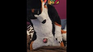 How lengthy can you rail the brim of an ejaculation for? One brave mutt ventures to find out...