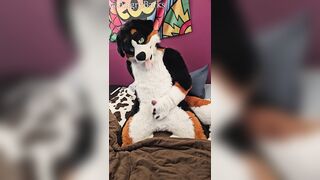 How lengthy can you rail the brim of an ejaculation for? One brave mutt ventures to find out...