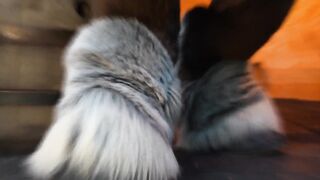 Murrsuit Screw Machine PMV