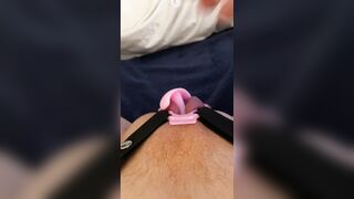 Banging my fufu clamped kitten