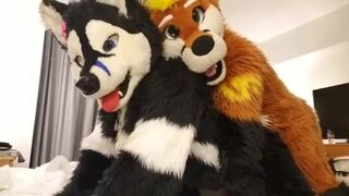 Taiky X Johnny-Huskey MFF2019