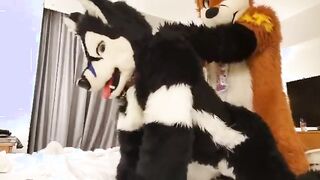 Taiky X Johnny-Huskey MFF2019