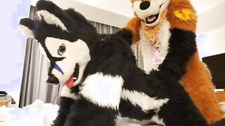 Taiky X Johnny-Huskey MFF2019