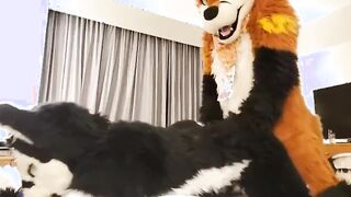 Taiky X Johnny-Huskey MFF2019