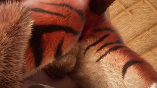 Immense Tiger Jizzes Inwards Youngster Dude w/ Internal cumshot (Fur covered Queer Bang-out)  Insane Life Furries