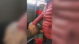 Dark-hued Thugs Cruising Park