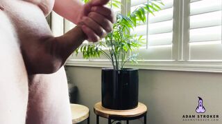 ???????????????????????????????? ???????? & ????????????????????????????????????