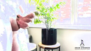 ???????????????????????????????? ???????? & ????????????????????????????????????