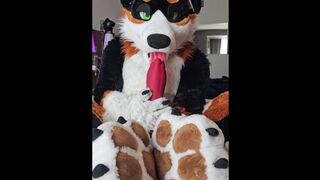 @AngryBarks self sucking his additional phat man sausage