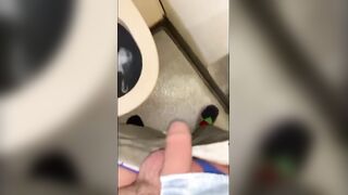 Urinating and J/o in the airplane