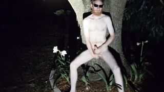 Frigging bum and smashing a tree in the moonlight