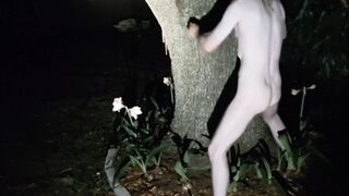 Frigging bum and smashing a tree in the moonlight