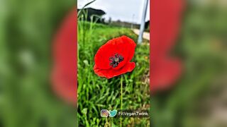 Lad Finishes off in Public Park Cruising