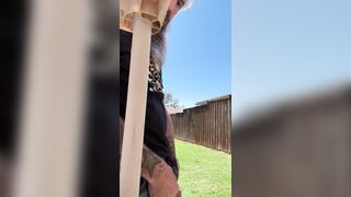 Backyard Have fun and Urinate