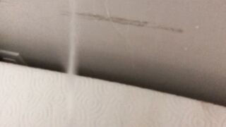 Peeing All Over My Couch, Carpet and Wall !!!