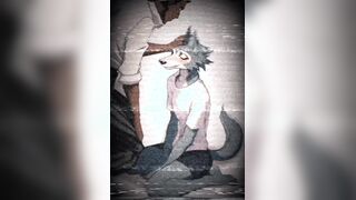 Legoshi is a superb fellow