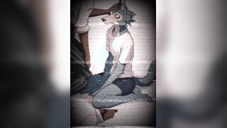 Legoshi is a superb fellow