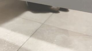 Public restroom cruising