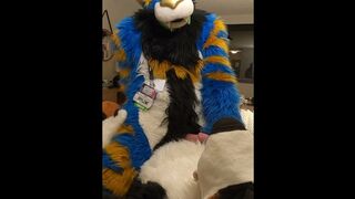 superb kitten penetrates the jizm out of the bad mutt then blows a load arms free-for-all