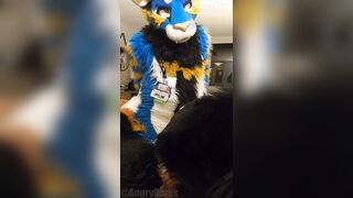 superb kitten penetrates the jizm out of the bad mutt then blows a load arms free-for-all