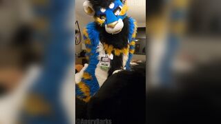 superb kitten penetrates the jizm out of the bad mutt then blows a load arms free-for-all