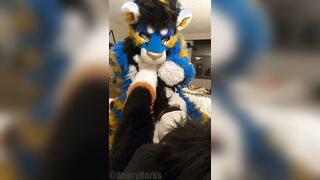 superb kitten penetrates the jizm out of the bad mutt then blows a load arms free-for-all