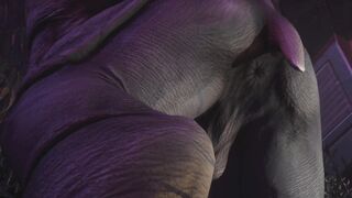 Rhino Mating with Youngster Fellow #two (Homosexual Unshaved) / Crazy Life Furries