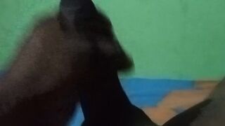 Who enjoys to make solo man gonzo