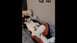 @AngryBarks from the Legends office instructs your how to milk your puppy beau ‍