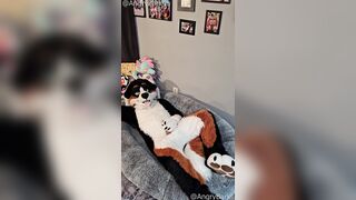 @AngryBarks from the Legends office instructs your how to milk your puppy beau ‍