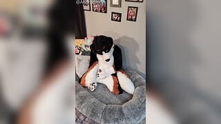 @AngryBarks from the Legends office instructs your how to milk your puppy beau ‍