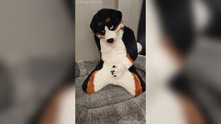 Fertility Check! Fellow Mutt @AngryBarks Jacks his Strong Sack of babymakers and puts his Jizm under a Microscope