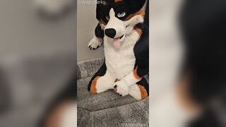 Fertility Check! Fellow Mutt @AngryBarks Jacks his Strong Sack of babymakers and puts his Jizm under a Microscope